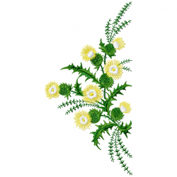 Flowers And Tree Embroidery Design 8 Flowers And Tree Embroidery Design 8
